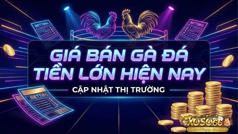 gia-ban-ga-da-tien-lon-hien-nay-cap-nhat-bang-gia-2026