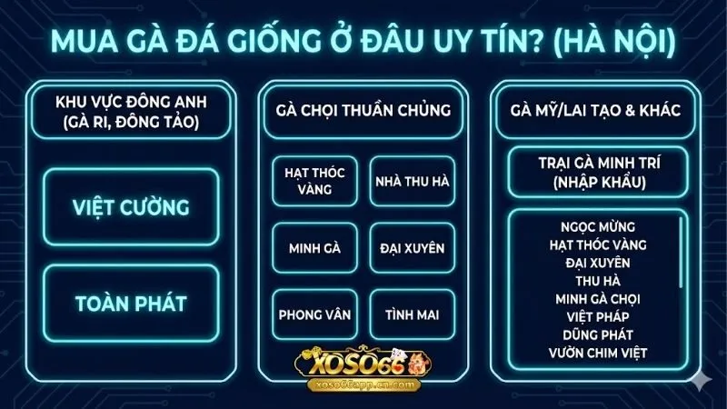 mua-ga-da-giong-o-dau-uy-tin-de-co-nhung-chien-ke-dung-manh
