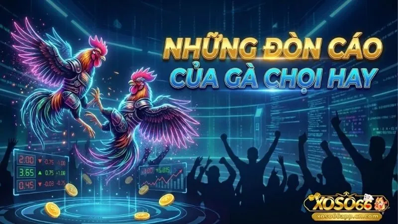 nhung-don-cao-cua-ga-choi-hay-tuyet-ky-sat-thu